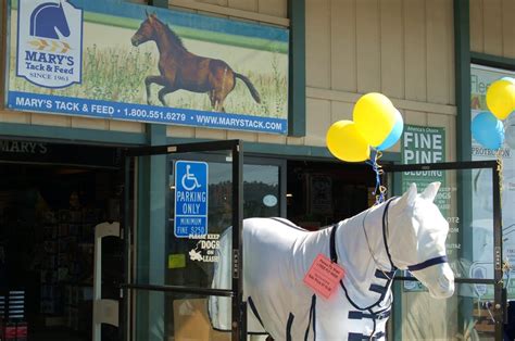 Mary's tack feed - Started in 1963 by Mary Hammond in Del Mar, CA, Mary's Tack and Feed has grown to be one of the top tack and feed stores in the nation, and definitely one of the largest in the Southwest.Our website...